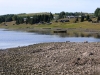 20060816_29.jpg