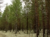 20060818_04.jpg