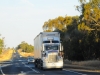 picture-439_resize