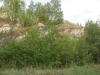 DSC08123