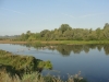 DSC08130
