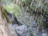 DSC08157