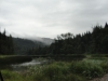 DSC08205